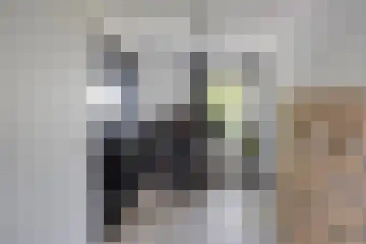Wolkammersdreef 1 B Maastricht thumbnail 15