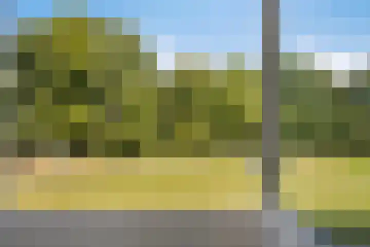 Wolkammersdreef 45 B Maastricht thumbnail 19