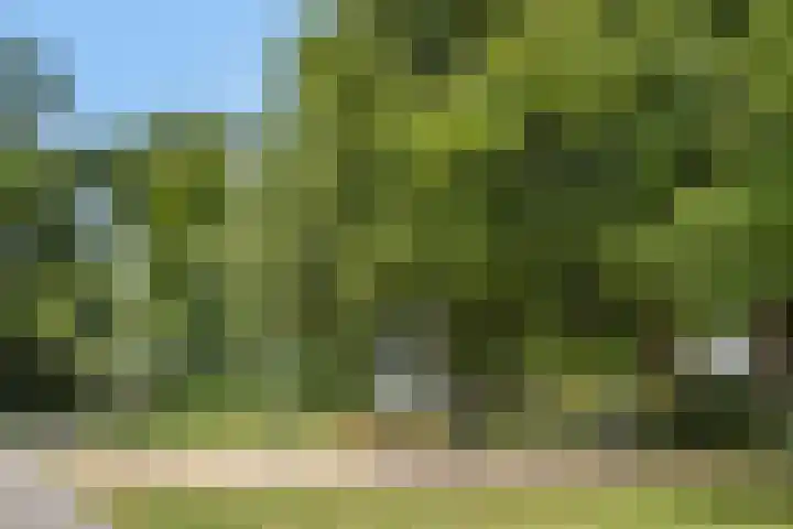 Wolkammersdreef 45 B Maastricht thumbnail 30