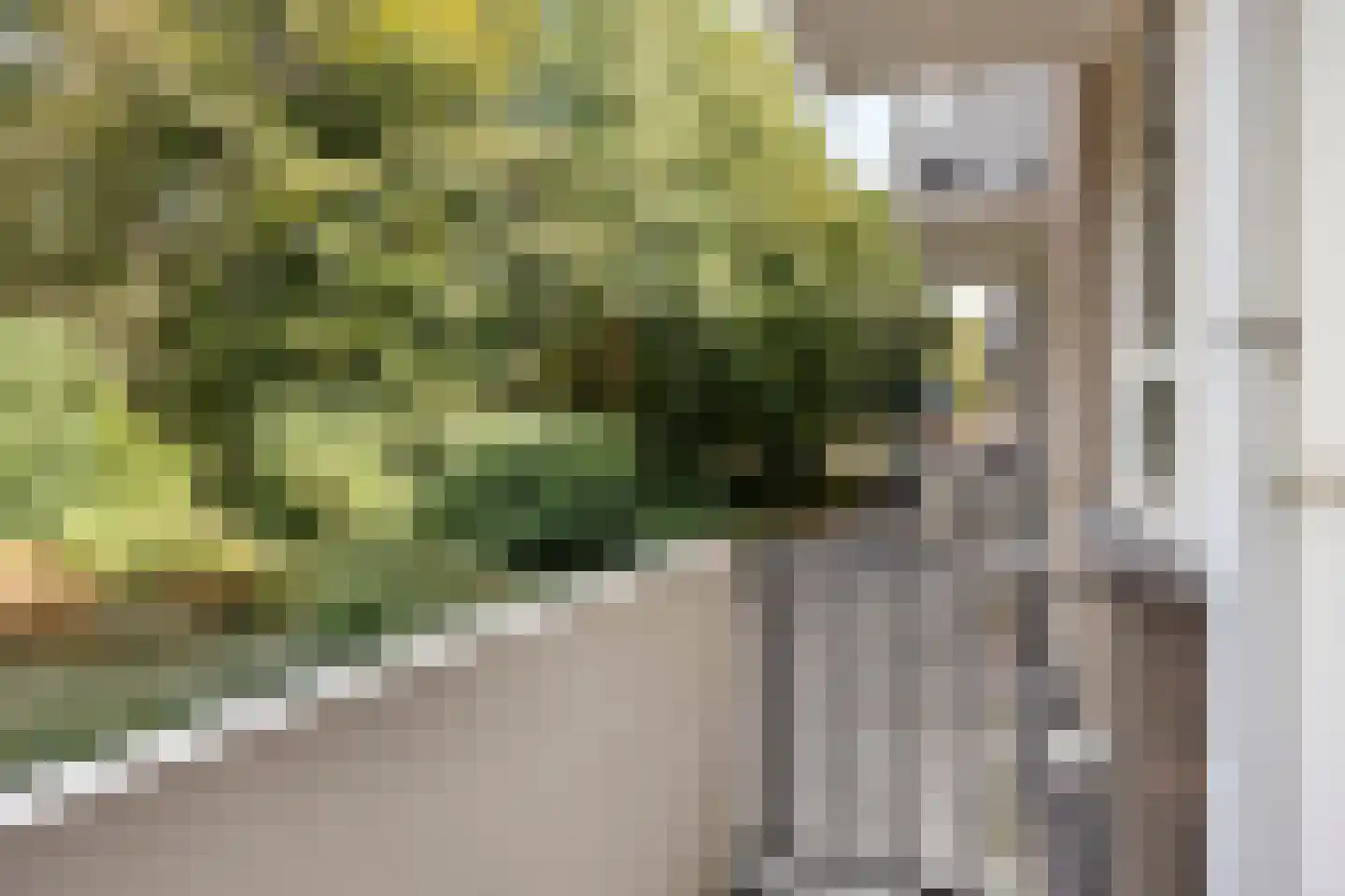 Wolkammersdreef 53 A Maastricht thumbnail 17