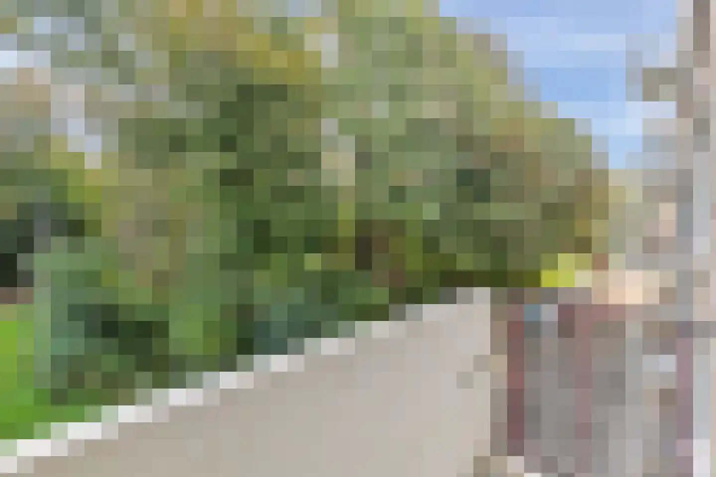 Wolkammersdreef 55 B Maastricht thumbnail 18
