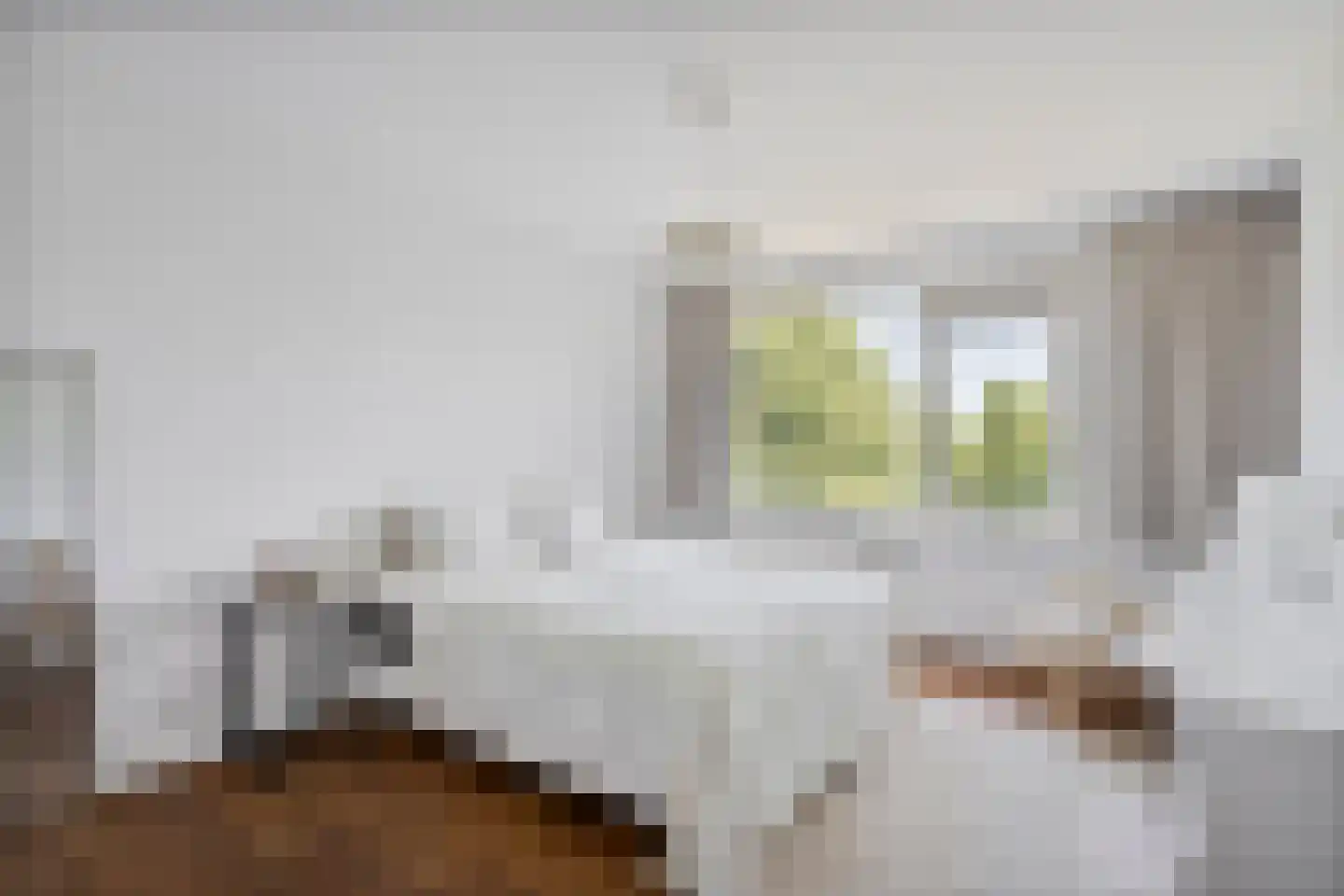 Wolkammersdreef 73 D Maastricht thumbnail 23