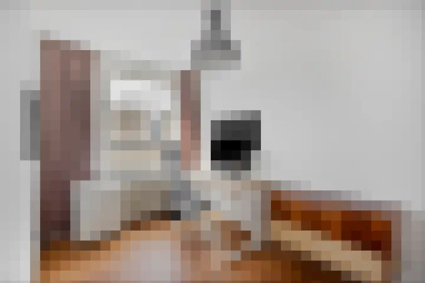 Wolkammersdreef 73 D Maastricht thumbnail 25