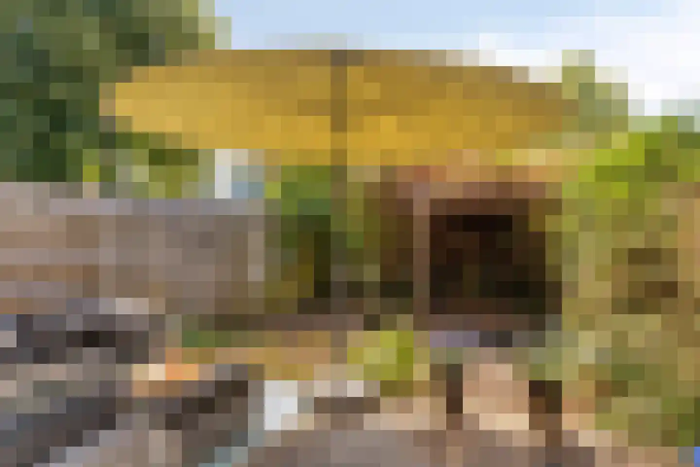 Wolkammerstraat 15 Alkmaar thumbnail 23