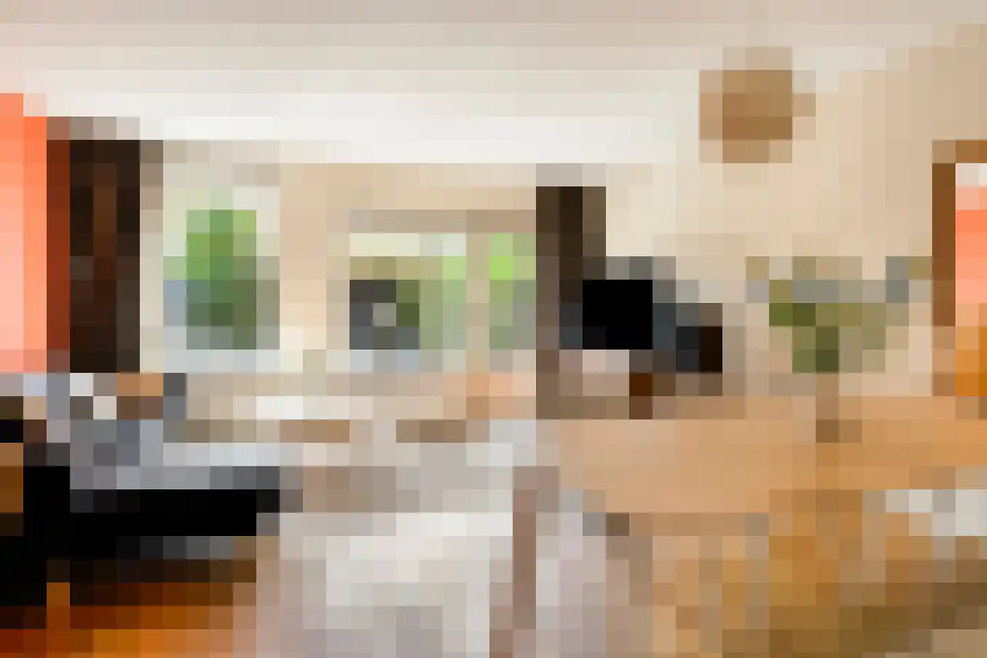 Wolkammerstraat 15 Alkmaar thumbnail 7