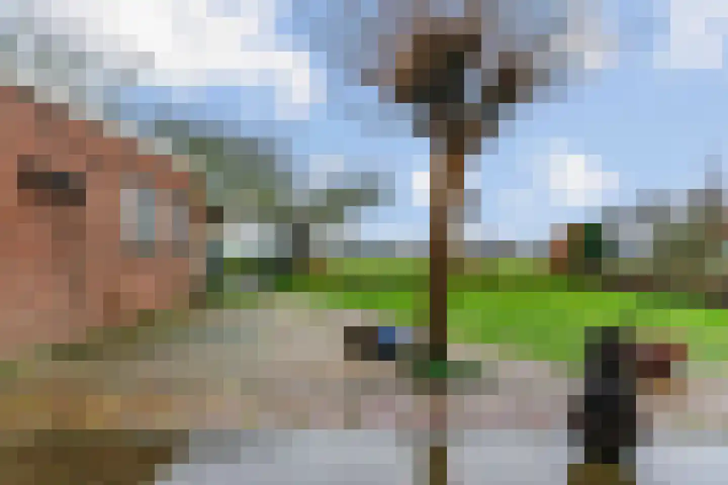 Wolkammerweg 28 Westbroek thumbnail 51