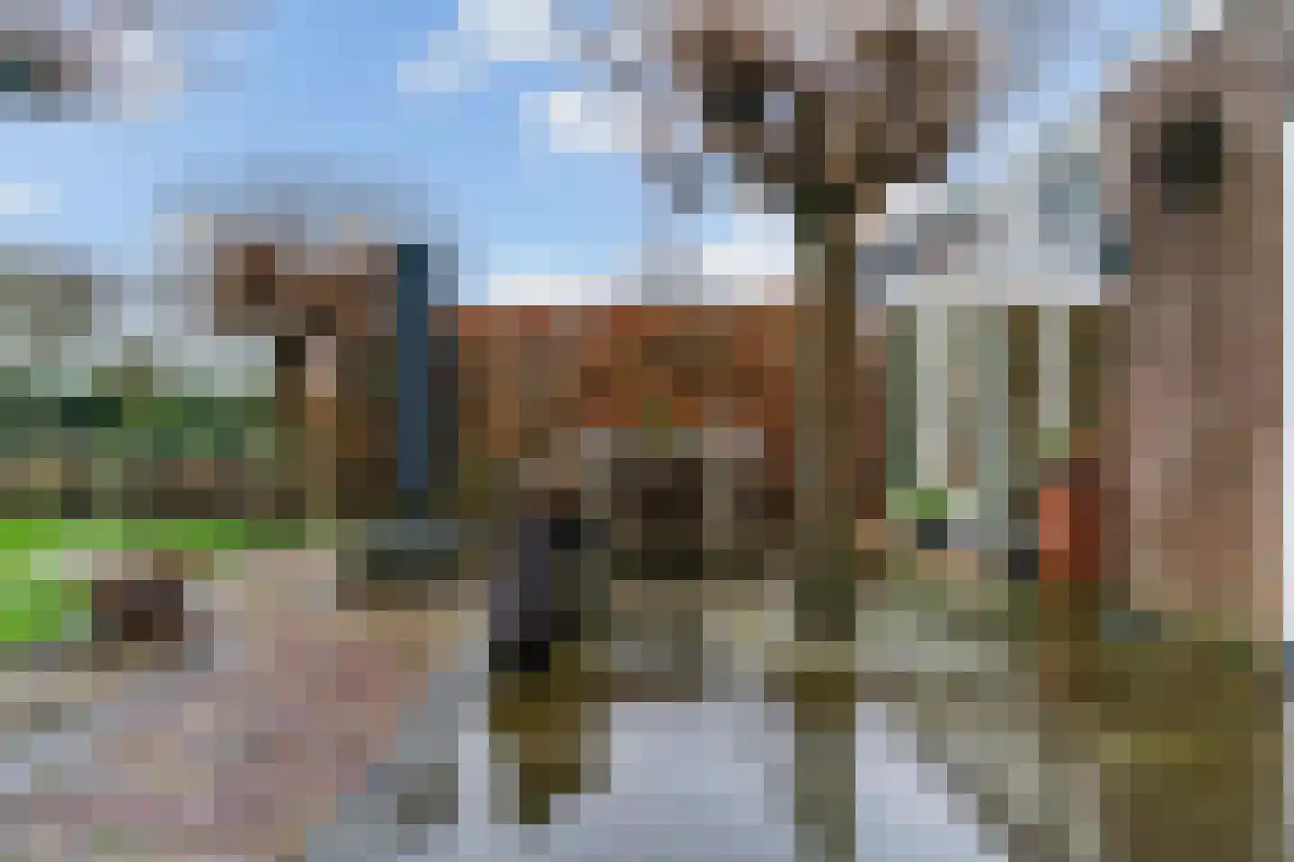 Wolkammerweg 28 Westbroek thumbnail 52