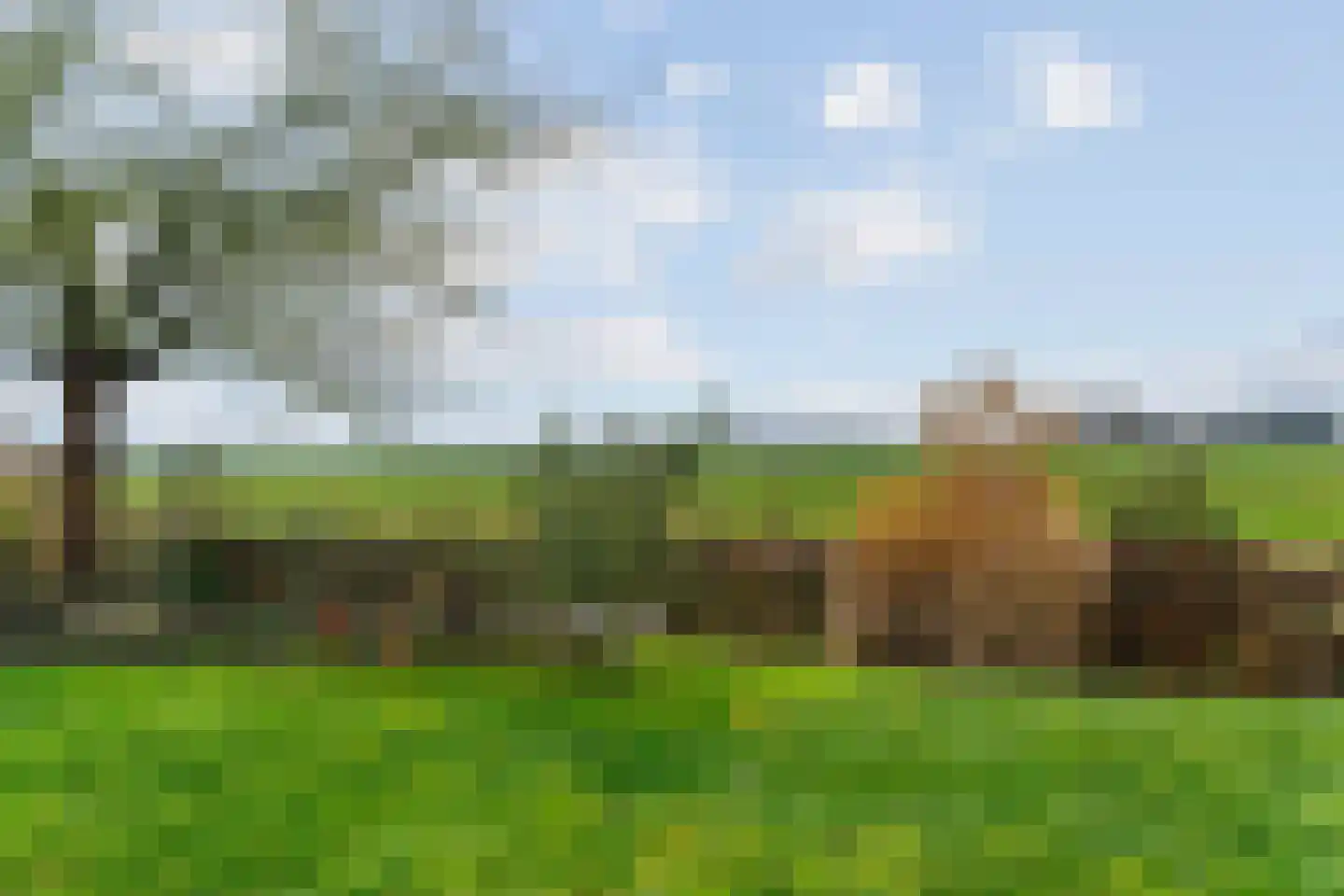 Wolkammerweg 28 Westbroek thumbnail 55