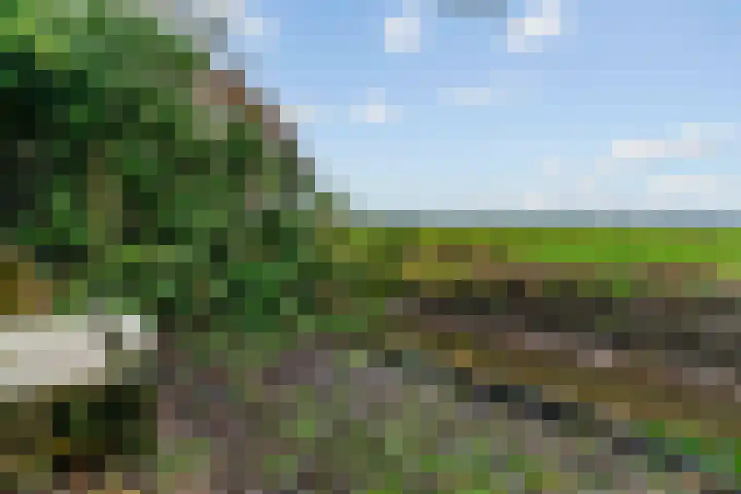 Wolkammerweg 28 Westbroek thumbnail 60