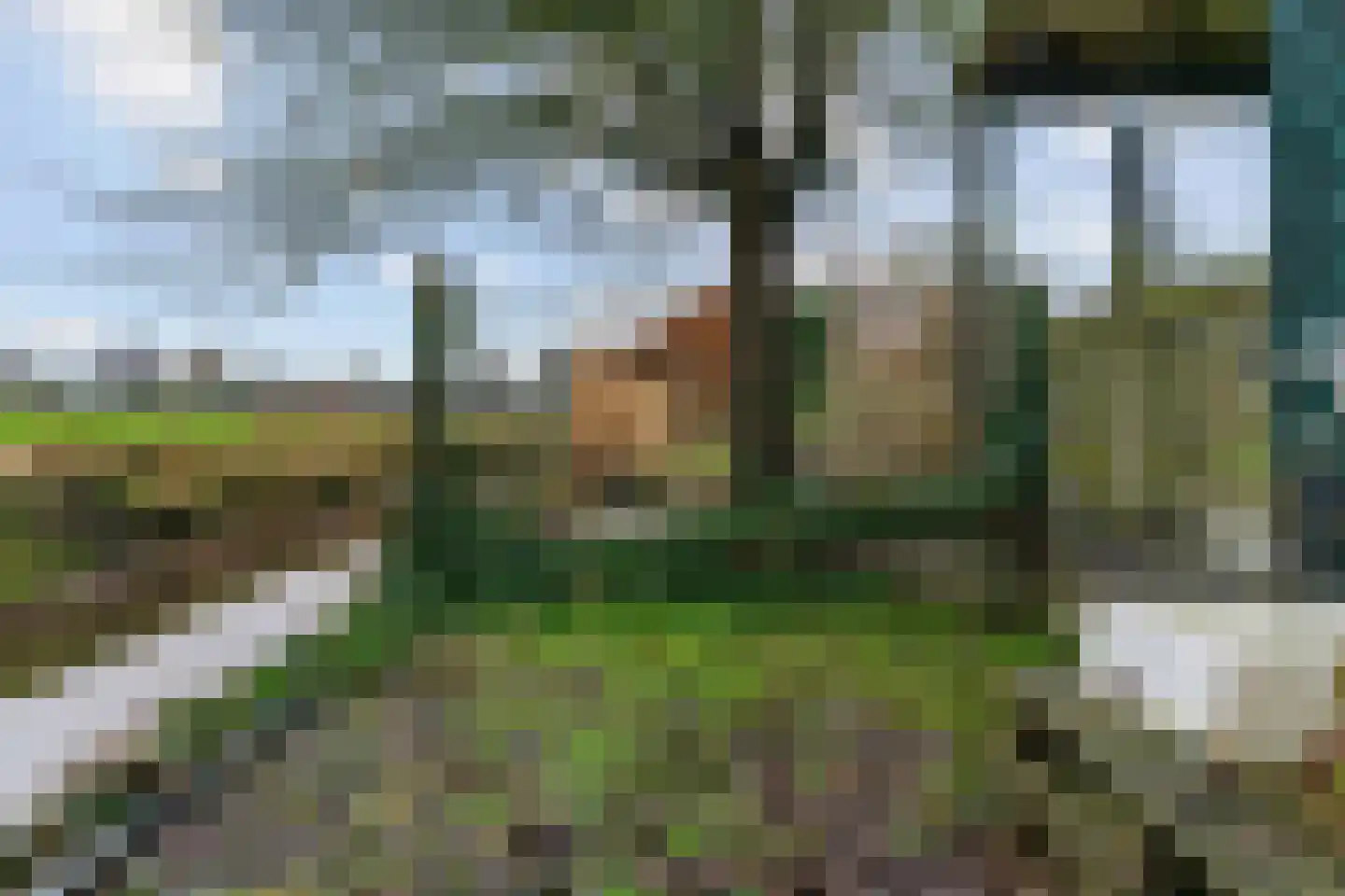 Wolkammerweg 28 Westbroek thumbnail 61