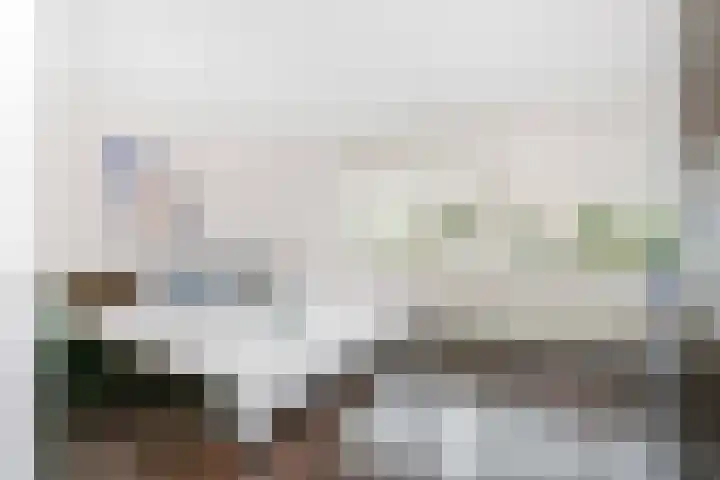 Wolkendek 12 De Meern thumbnail 14