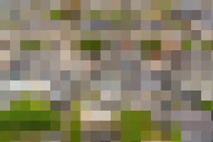 Wolkendek 12 De Meern thumbnail 30