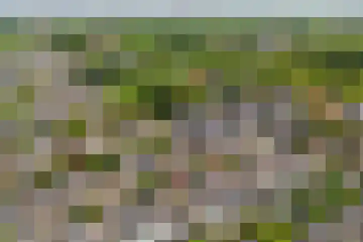 Wolkendek 12 De Meern thumbnail 31