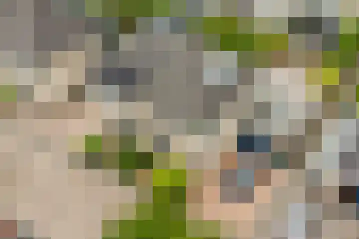Wolkendek 12 De Meern thumbnail 34