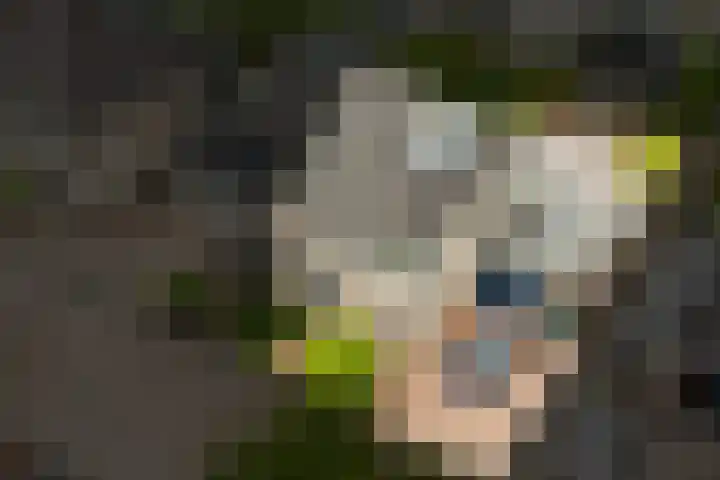 Wolkendek 12 De Meern thumbnail 35
