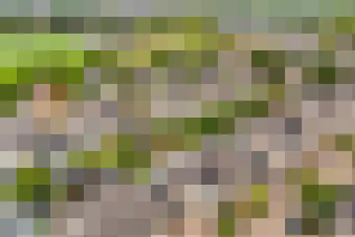 Wolkendek 12 De Meern thumbnail 36