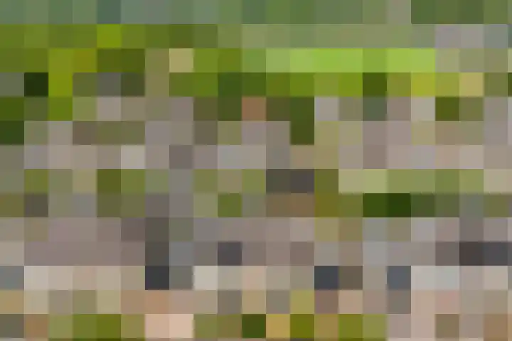 Wolkendek 12 De Meern thumbnail 37