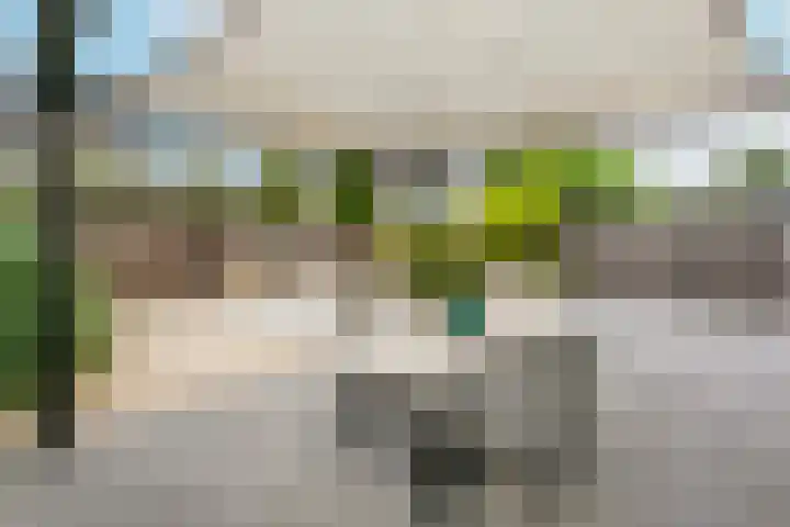 Wolkendek 12 De Meern thumbnail 4