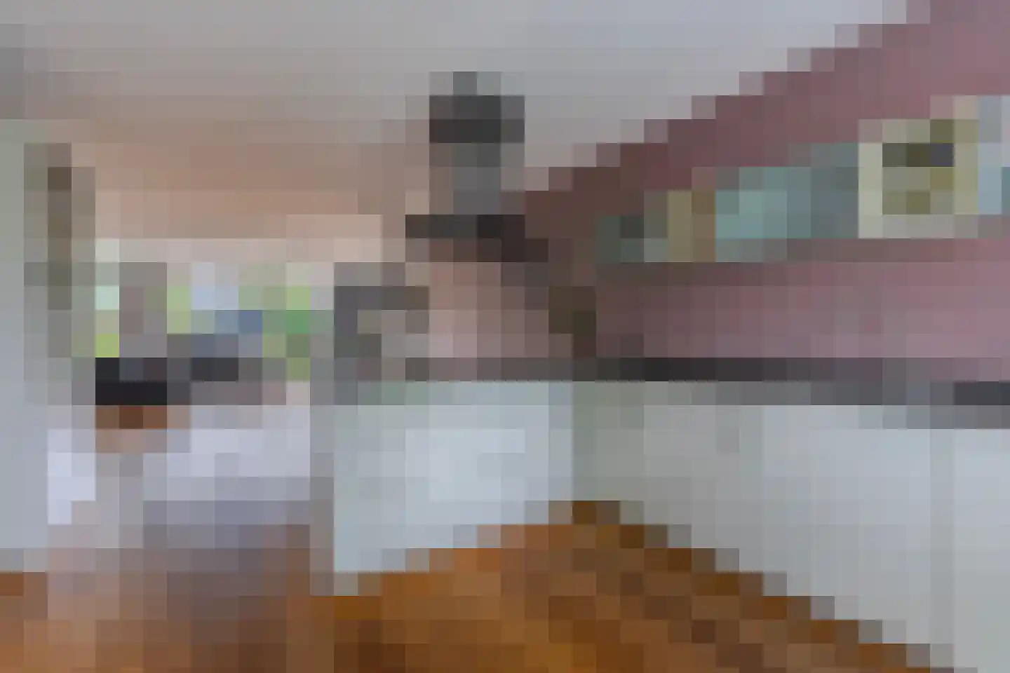 Wolkenhemel 8 Elst thumbnail 14