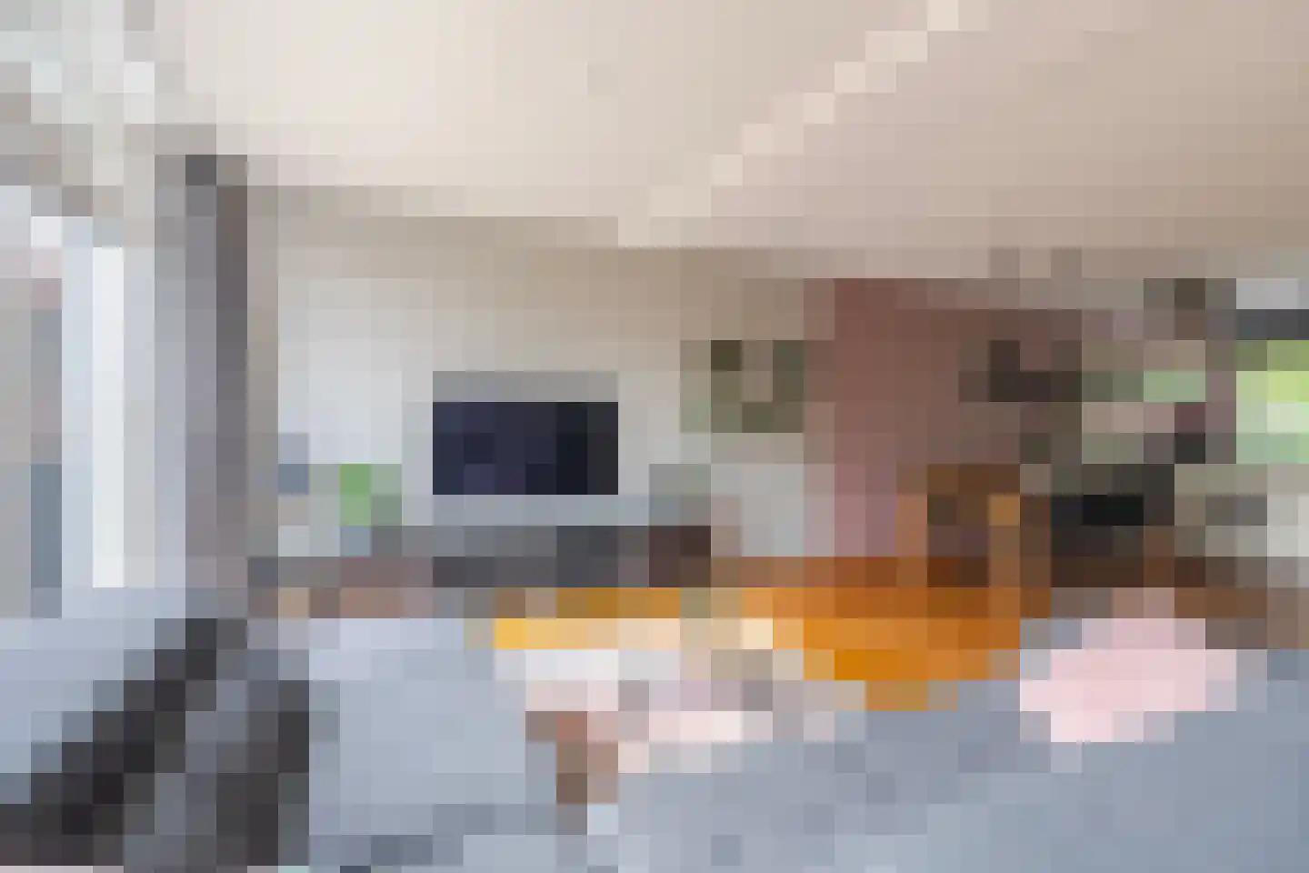 Wolkenhemel 8 Elst thumbnail 20