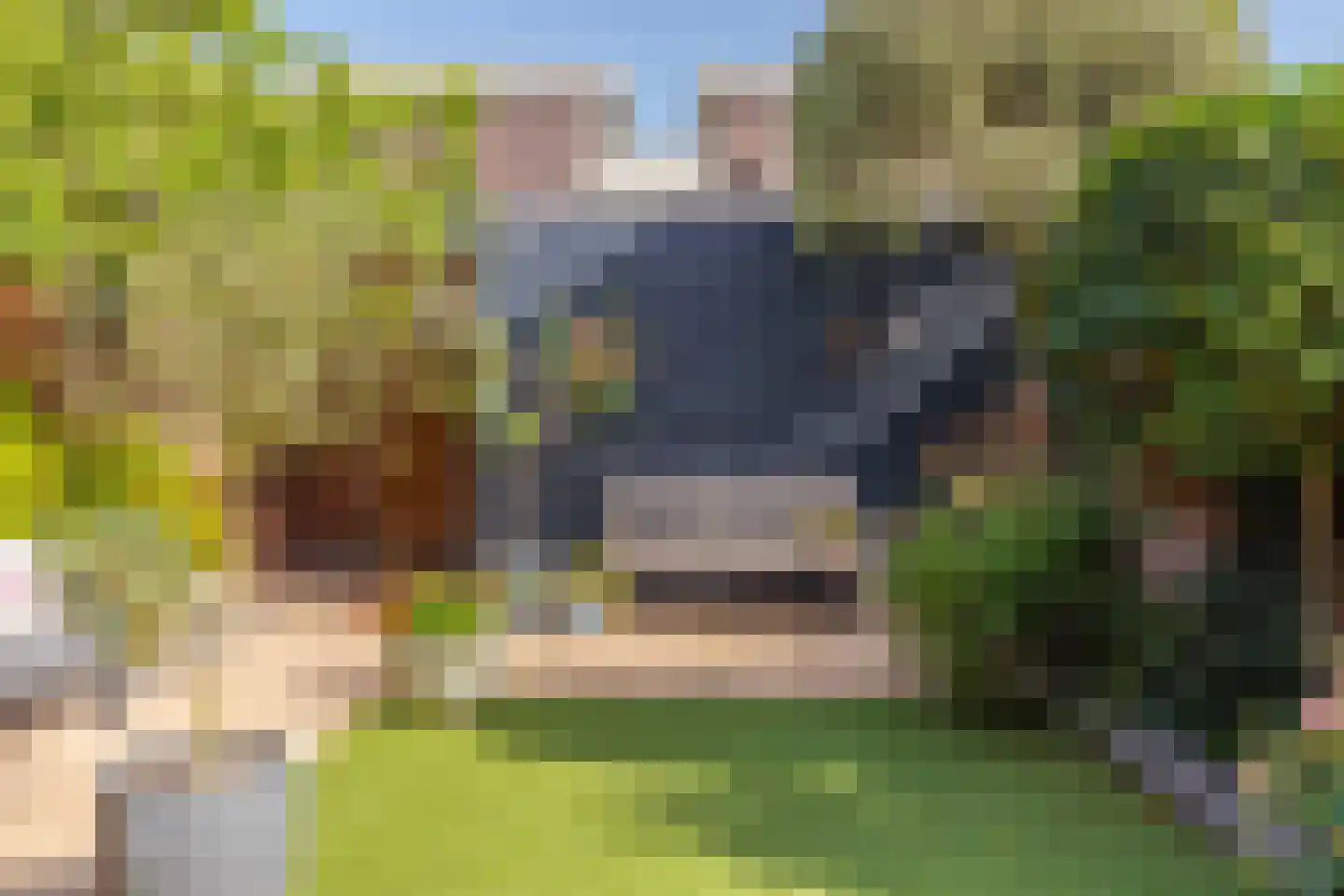 Wolkenhemel 8 Elst thumbnail 29