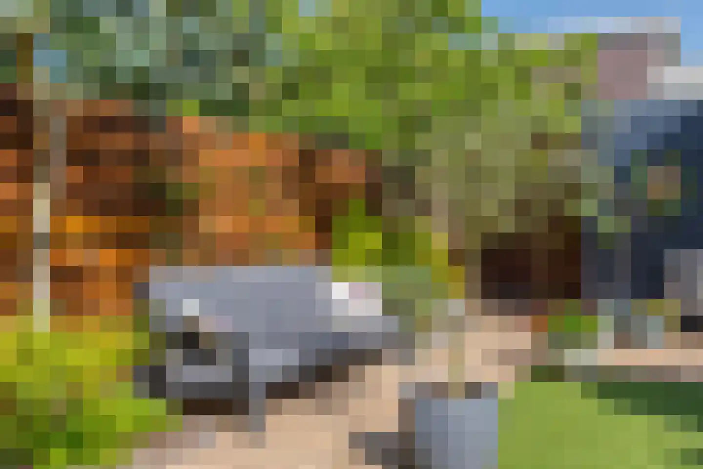 Wolkenhemel 8 Elst thumbnail 31