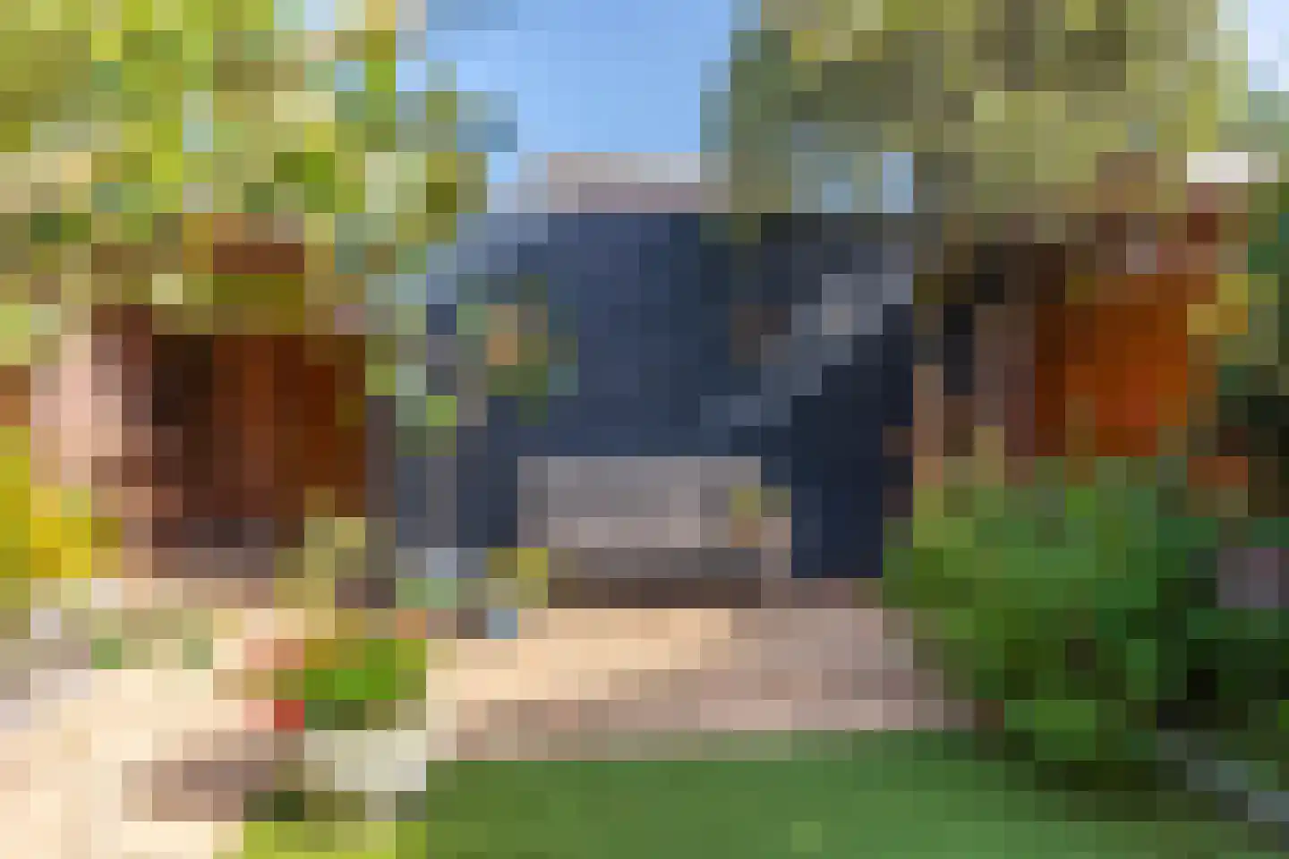 Wolkenhemel 8 Elst thumbnail 32