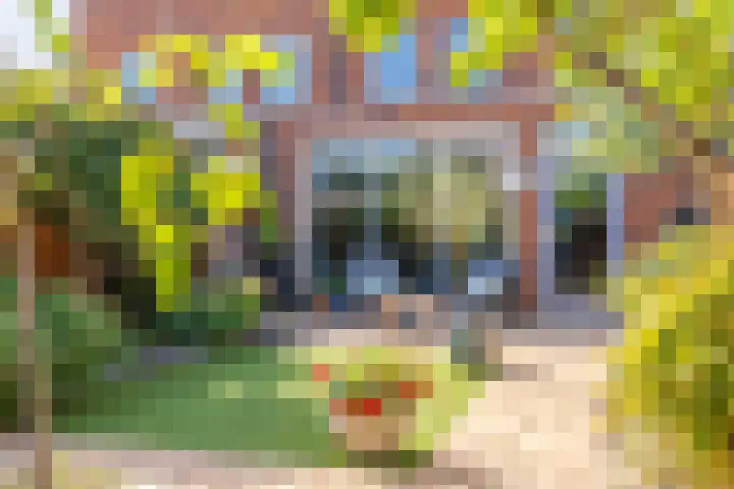 Wolkenhemel 8 Elst thumbnail 4