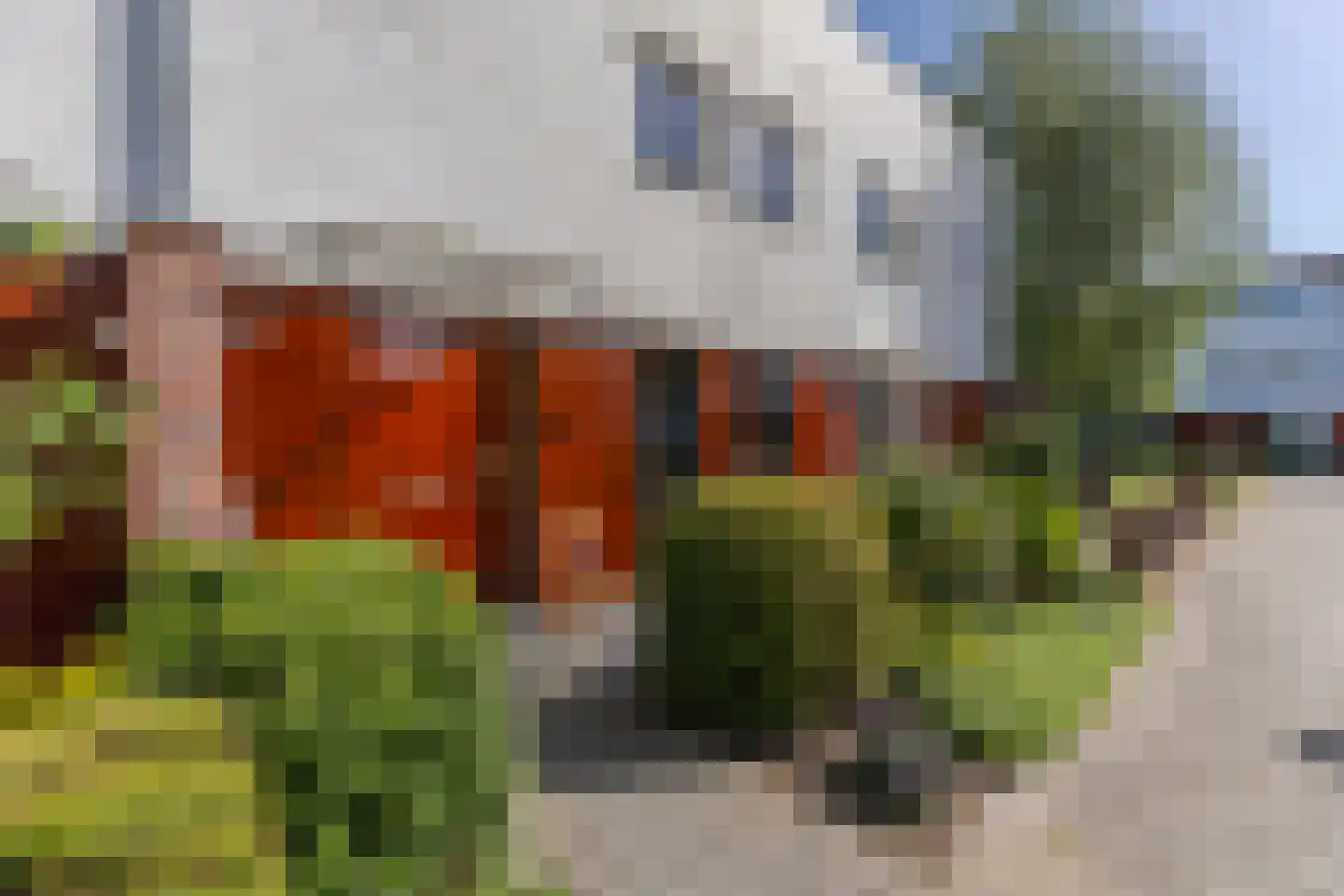 Wolkenhemel 8 Elst thumbnail 9