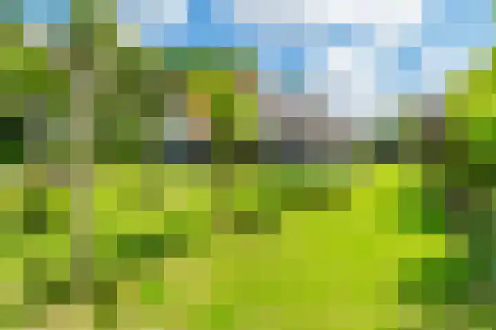Wolkenveld 1 Almere thumbnail 38