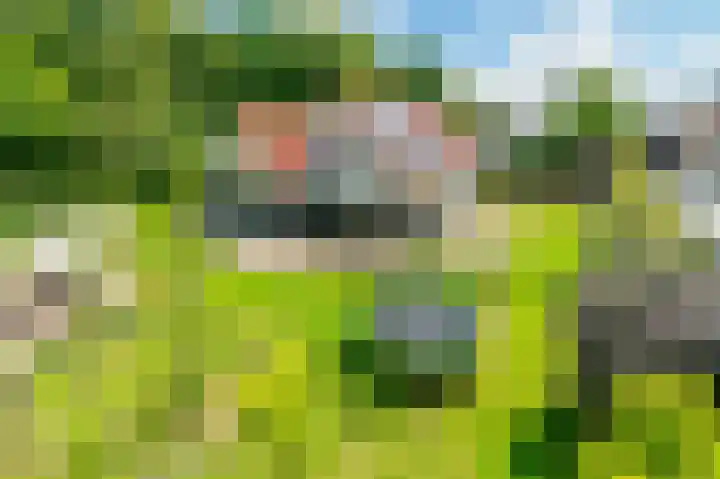 Wolkenveld 1 Almere thumbnail 42
