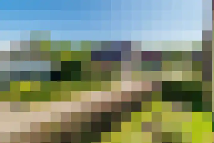 Wolkenveld 1 Almere thumbnail 46