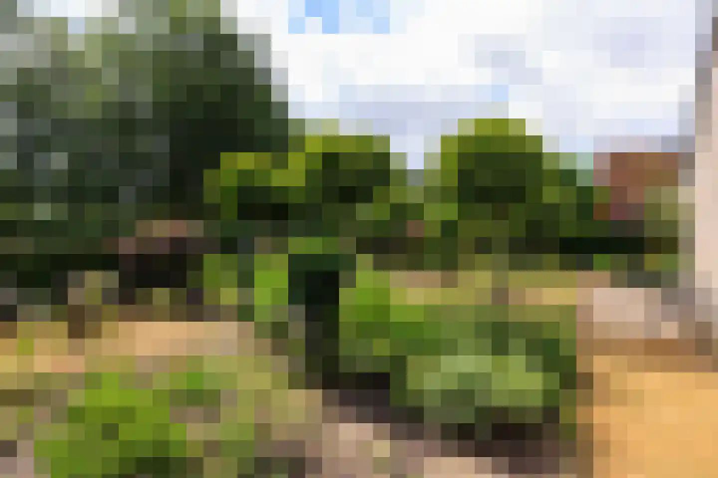 Wolkenveld 27 Almere thumbnail 43