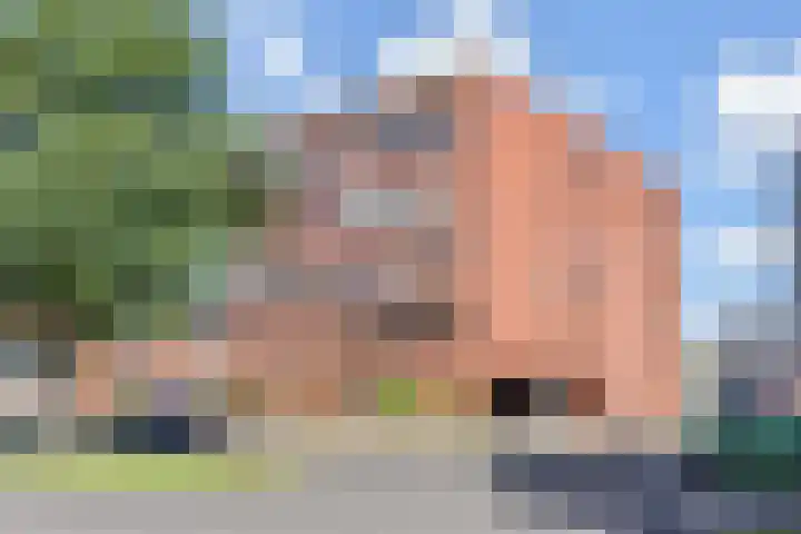 Wollebrand 19 in Pijnacker