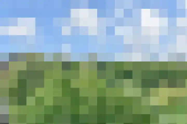 Wollebrand 19 Pijnacker thumbnail 23