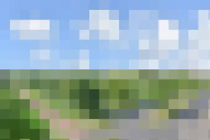 Wollebrand 19 Pijnacker thumbnail 24