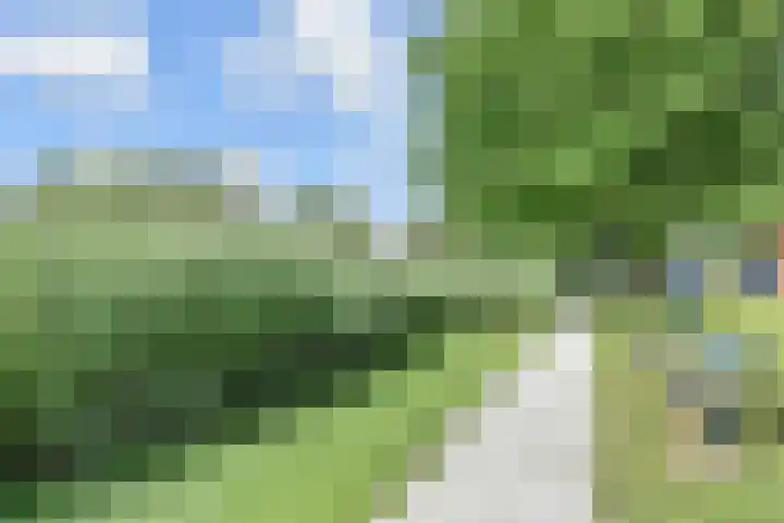 Wollebrand 19 Pijnacker thumbnail 25