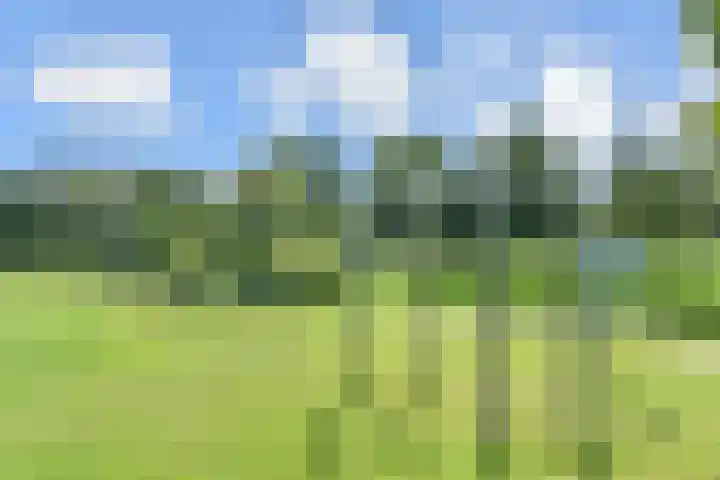 Wollebrand 19 Pijnacker thumbnail 30