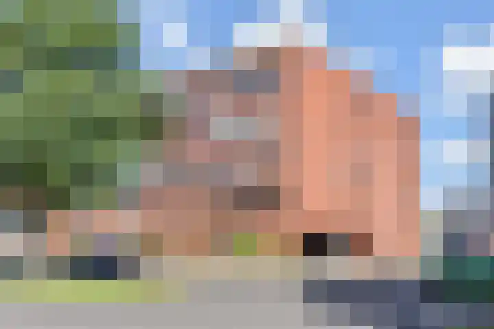 Wollebrand 19 Pijnacker thumbnail 34