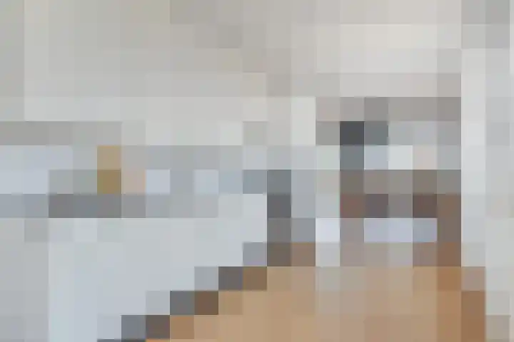 Wollebrand 23 Pijnacker thumbnail 10