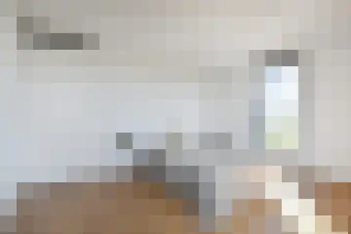 Wollebrand 23 Pijnacker thumbnail 12