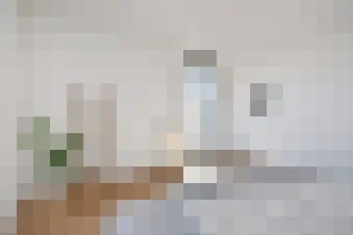 Wollebrand 23 Pijnacker thumbnail 13