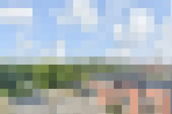 Wollebrand 23 Pijnacker thumbnail 19
