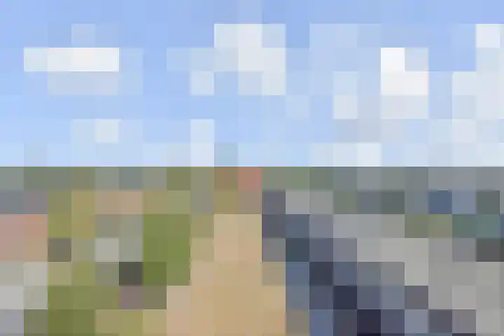 Wollebrand 23 Pijnacker thumbnail 20