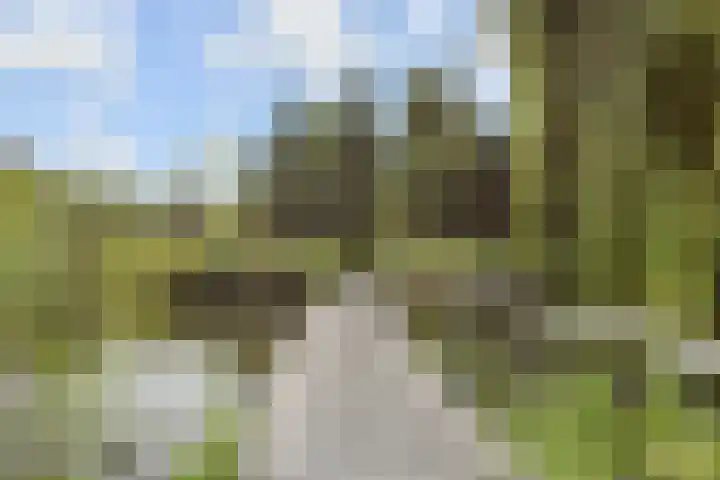 Wollebrand 23 Pijnacker thumbnail 22