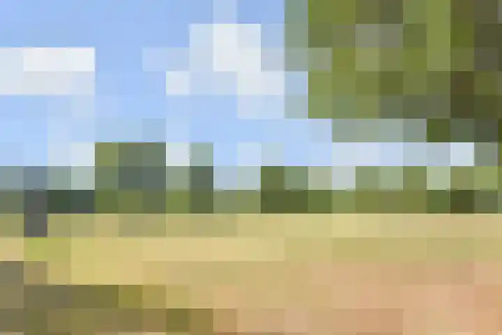 Wollebrand 23 Pijnacker thumbnail 24