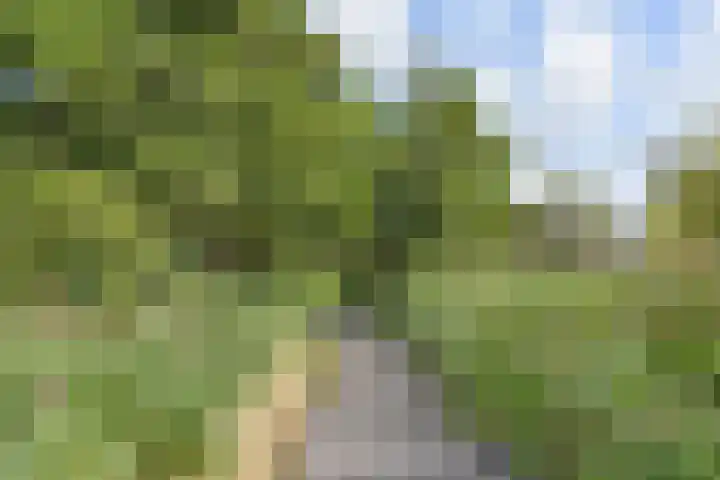 Wollebrand 23 Pijnacker thumbnail 26