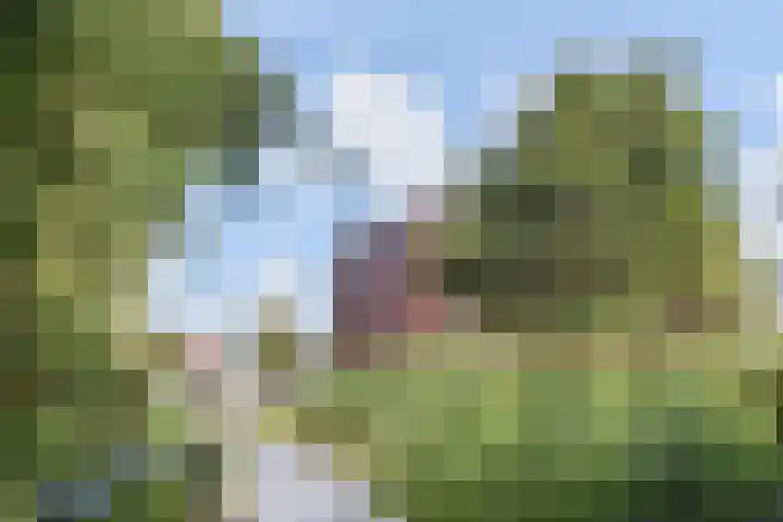Wollebrand 23 Pijnacker thumbnail 27