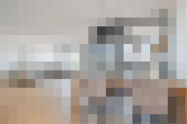 Wollebrand 23 Pijnacker thumbnail 8