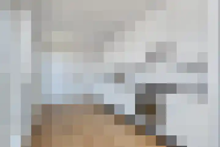 Wollebrand 23 Pijnacker thumbnail 9